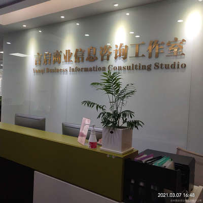 言启商务信息咨询 企业决策的智慧之眼